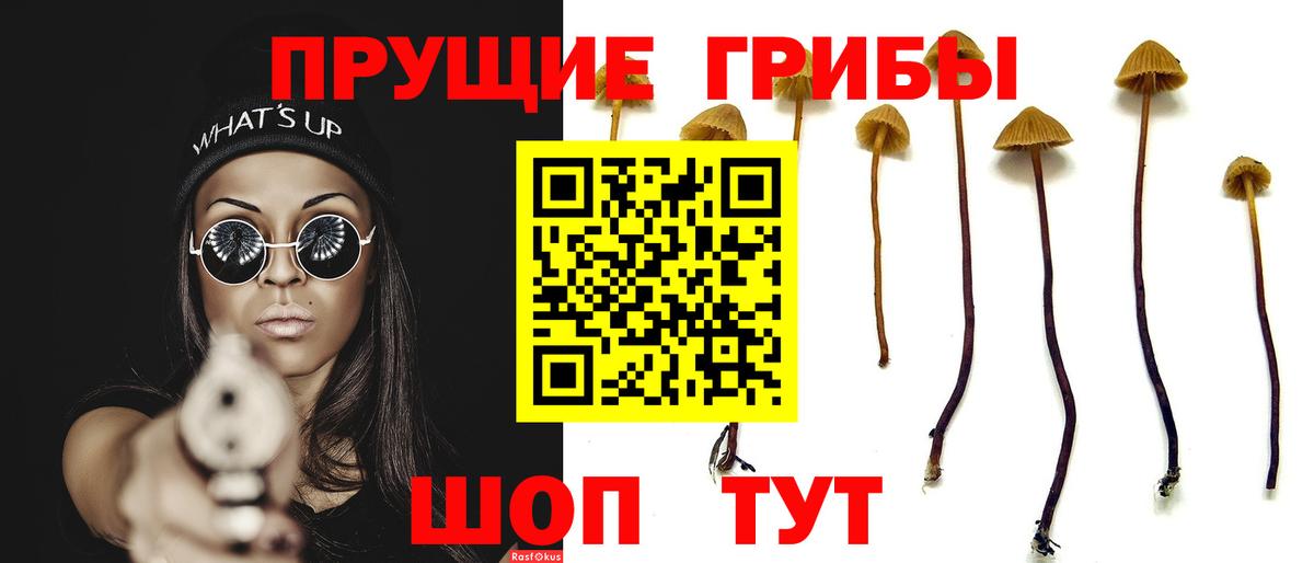 Ижевск  Галлюциногенные грибы мухоморы  Вход с VPN 