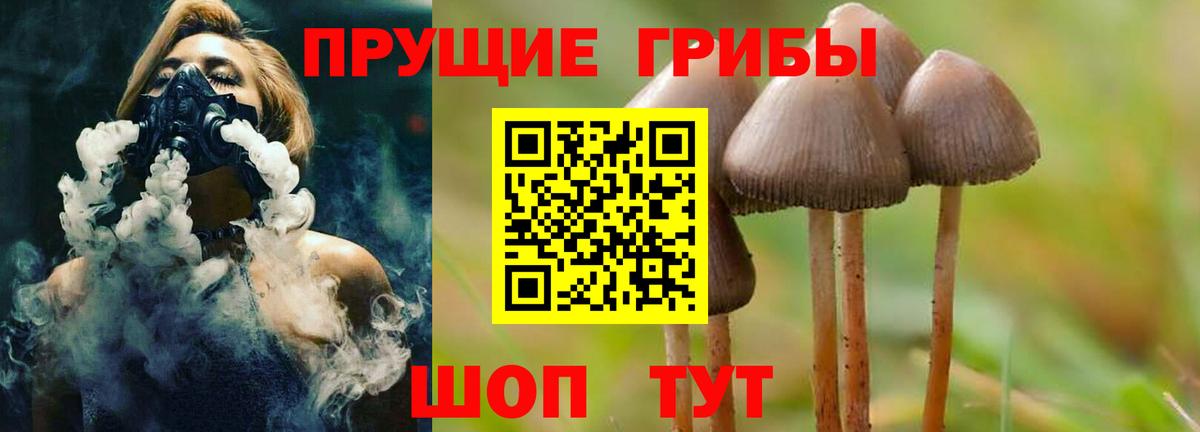Галлюциногенные грибы Cubensis Ижевск